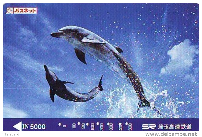 Télécarte Japon * DAUPHIN * DOLPHIN (956)  Japan () Phonecard * DELPHIN * GOLFINO * DOLFIJN * - Delphine