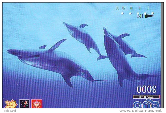 Télécarte Japon * DAUPHIN * DOLPHIN (957)  Japan () Phonecard * DELPHIN * GOLFINO * DOLFIJN * - Dolphins