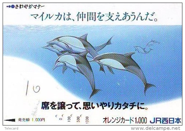 Carte Prépayée  Japon * DAUPHIN * DOLPHIN (958)  Japan () Phonecard * DELPHIN * GOLFINO * DOLFIJN * - Dolphins