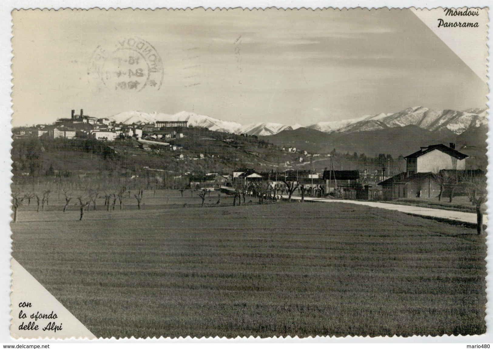 MONDOVI'  PANORAMA   CON LO  SFONDO  DELLE  ALPI          2 SCAN  (VIAGGIATA) - Altri & Non Classificati