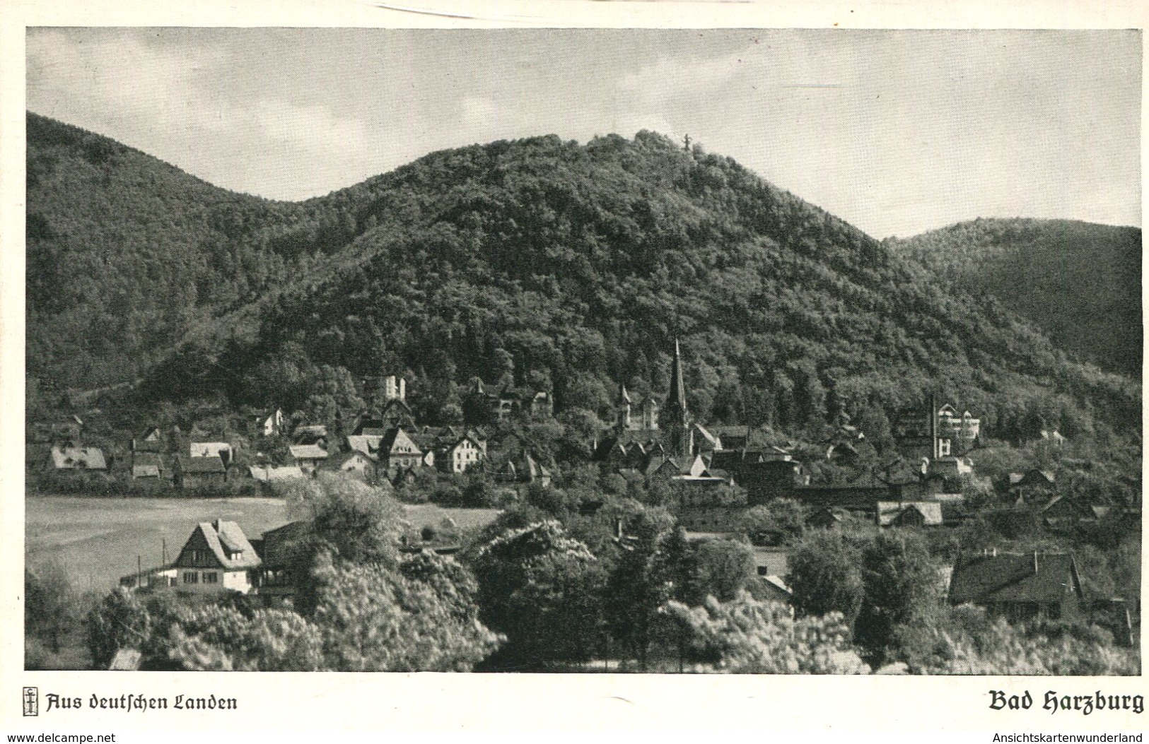 Bad Harzburg - Blick Vom Butterberg Auf Das Bad Und Den Burgberg (000363) - Bad Harzburg