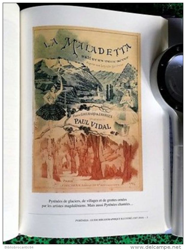 * PYRENEES * GUIDE BIBLIOGRAPHIQUE ILLUSTRE Tome 2 :1507-2010 par C. DENDALETCHE