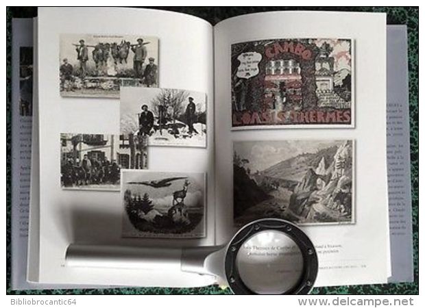 * PYRENEES * GUIDE BIBLIOGRAPHIQUE ILLUSTRE Tome 2 :1507-2010 par C. DENDALETCHE