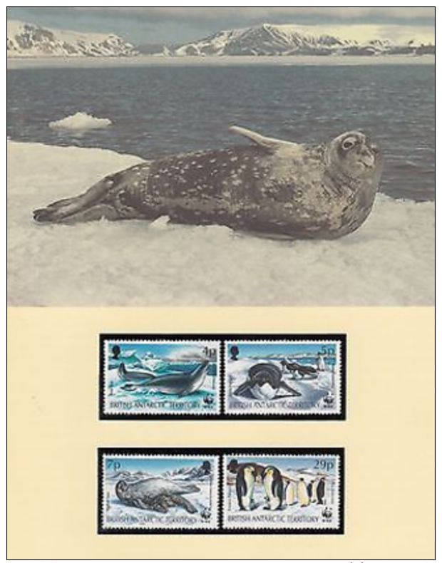 WWF Full Set 4 X Maxi Cards 4 X FDCs British Antarctic Territory Seals Penguins - Other & Unclassified