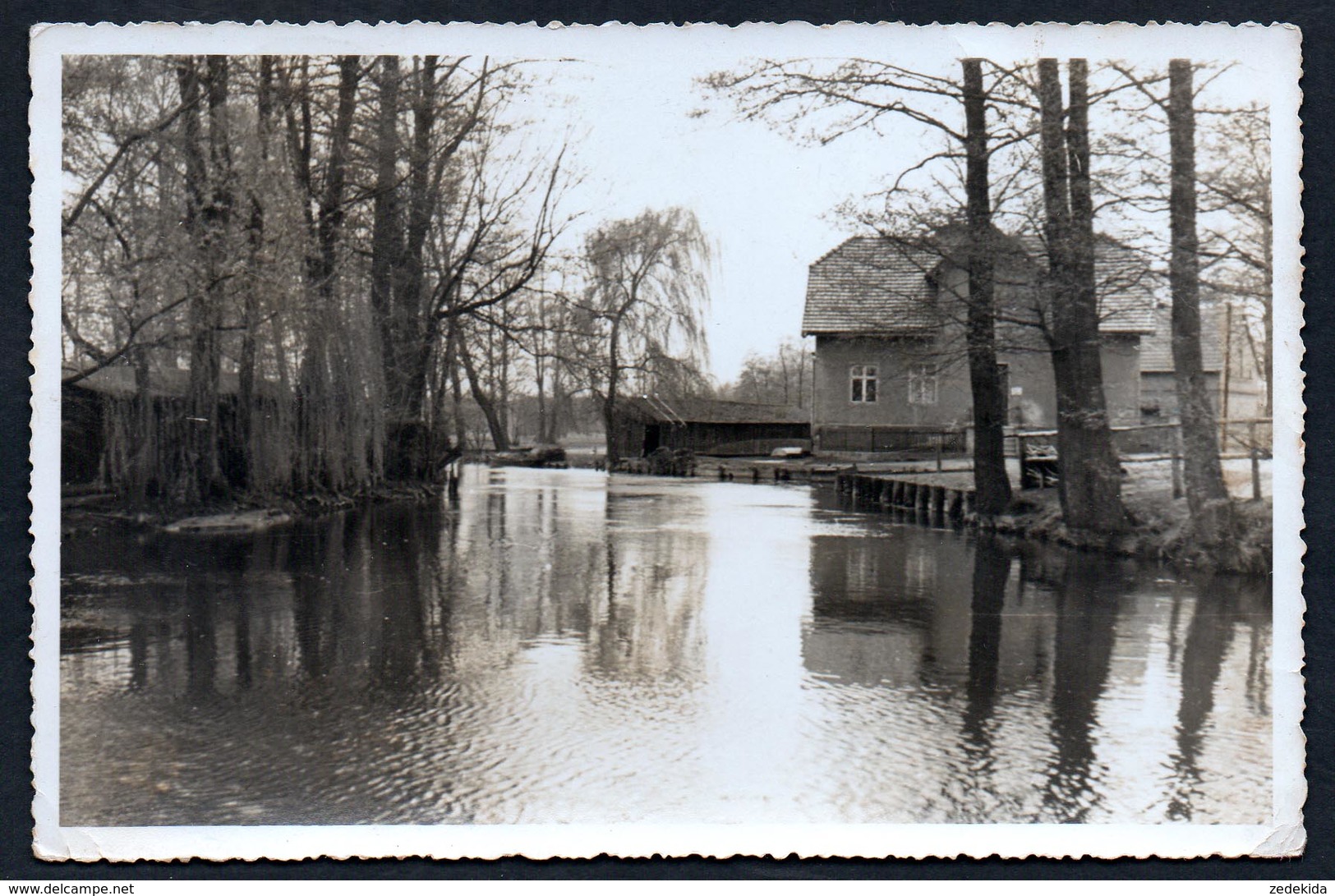 9506 - Alte Foto Ansichtskarte - Schlepzig Slopi&scaron;&#x107;a - Gel 1959 üner Lübben - Dahme