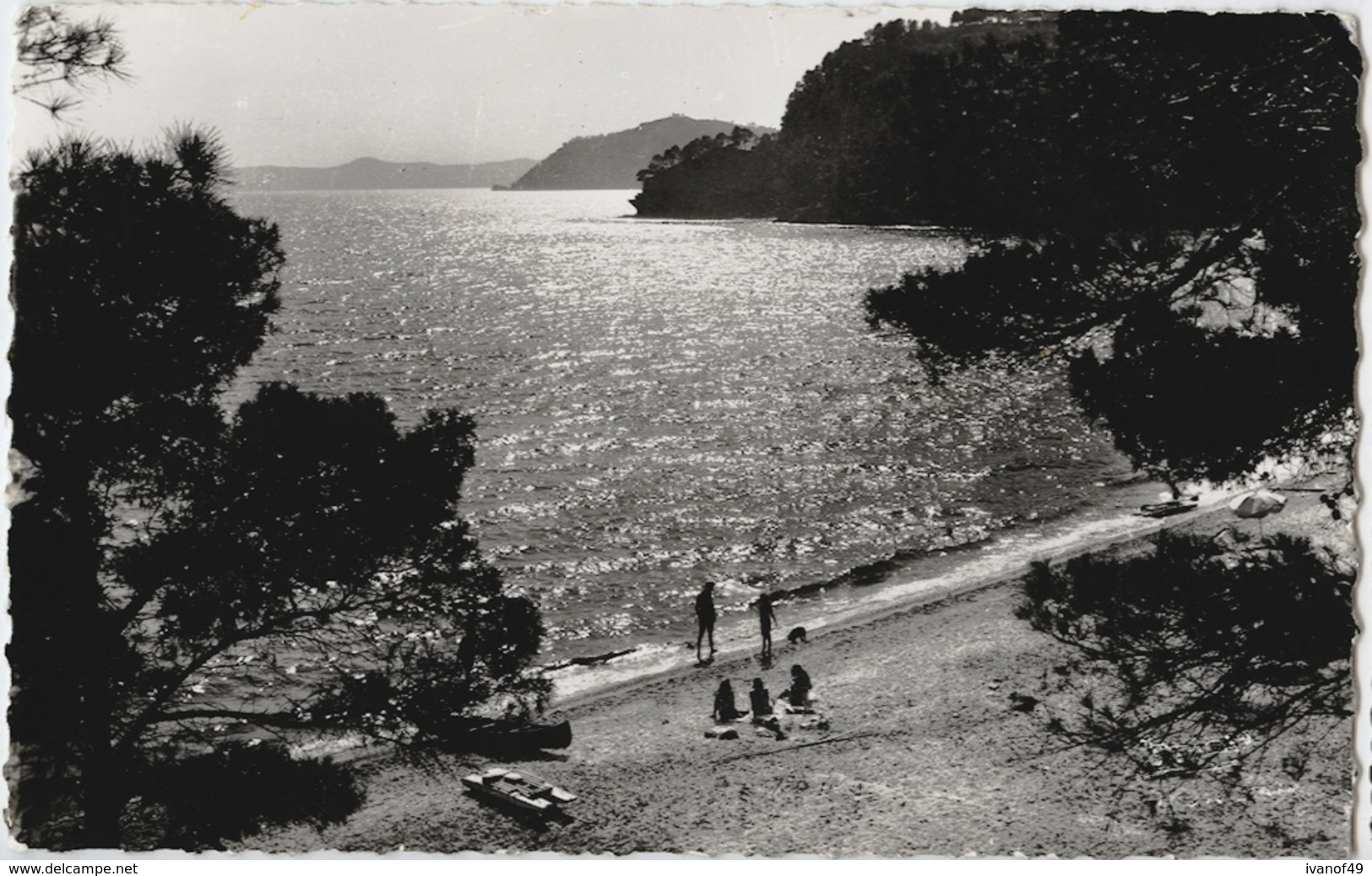 83 -  LE RAYOL - CPSM - Coucher De Soleil - Rayol-Canadel-sur-Mer