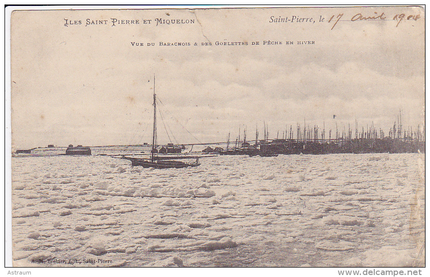 Cpa -saint Pierre & Miquelon-vue Du Barchois Et Des Goelettes-edi Brehier 1904 - Saint-Pierre-et-Miquelon