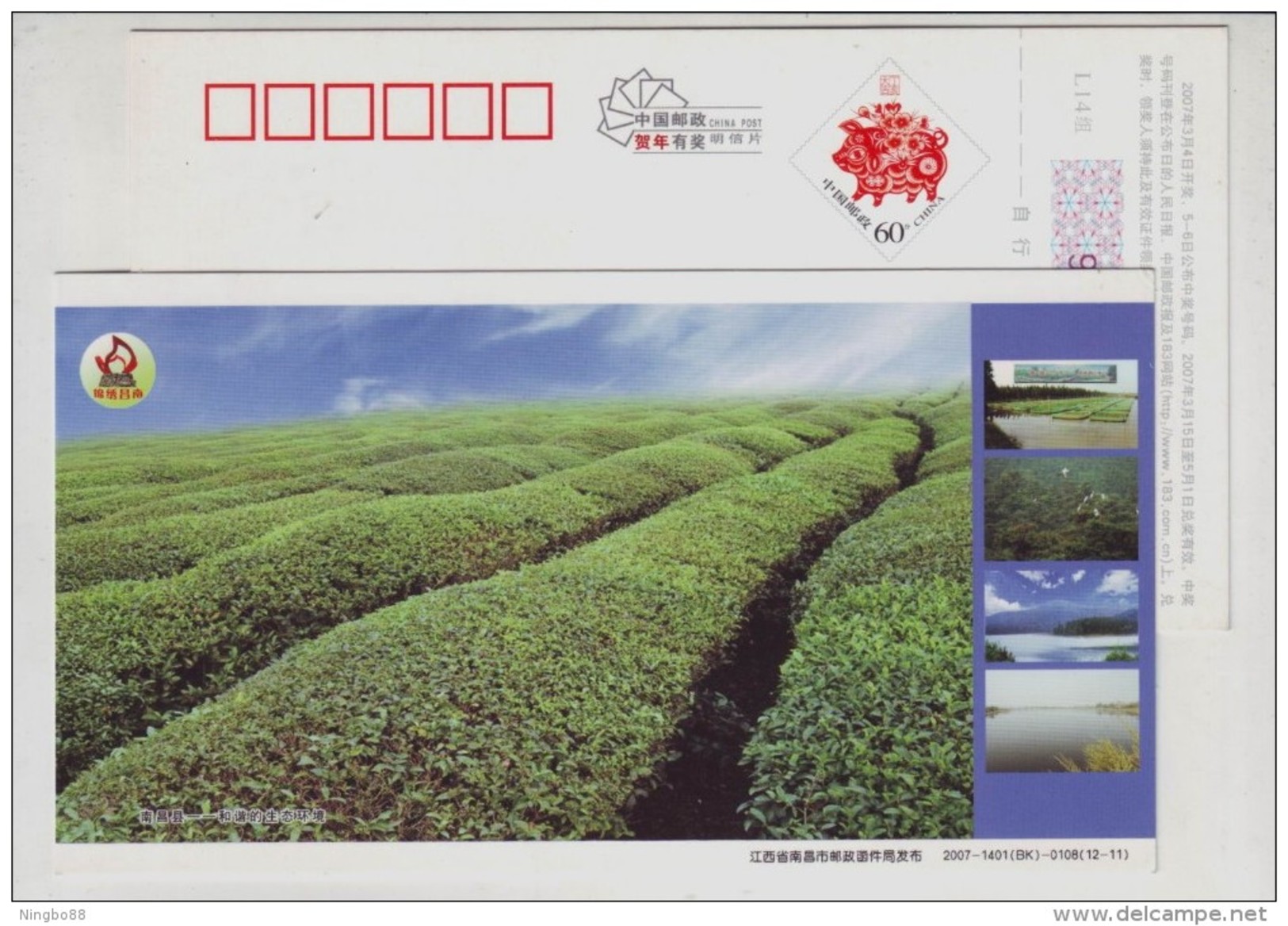 Harmonious Environment,green Tea Garden,China 2007 Nanchang Country Landscape Advertising Pre-stamped Card - Other & Unclassified