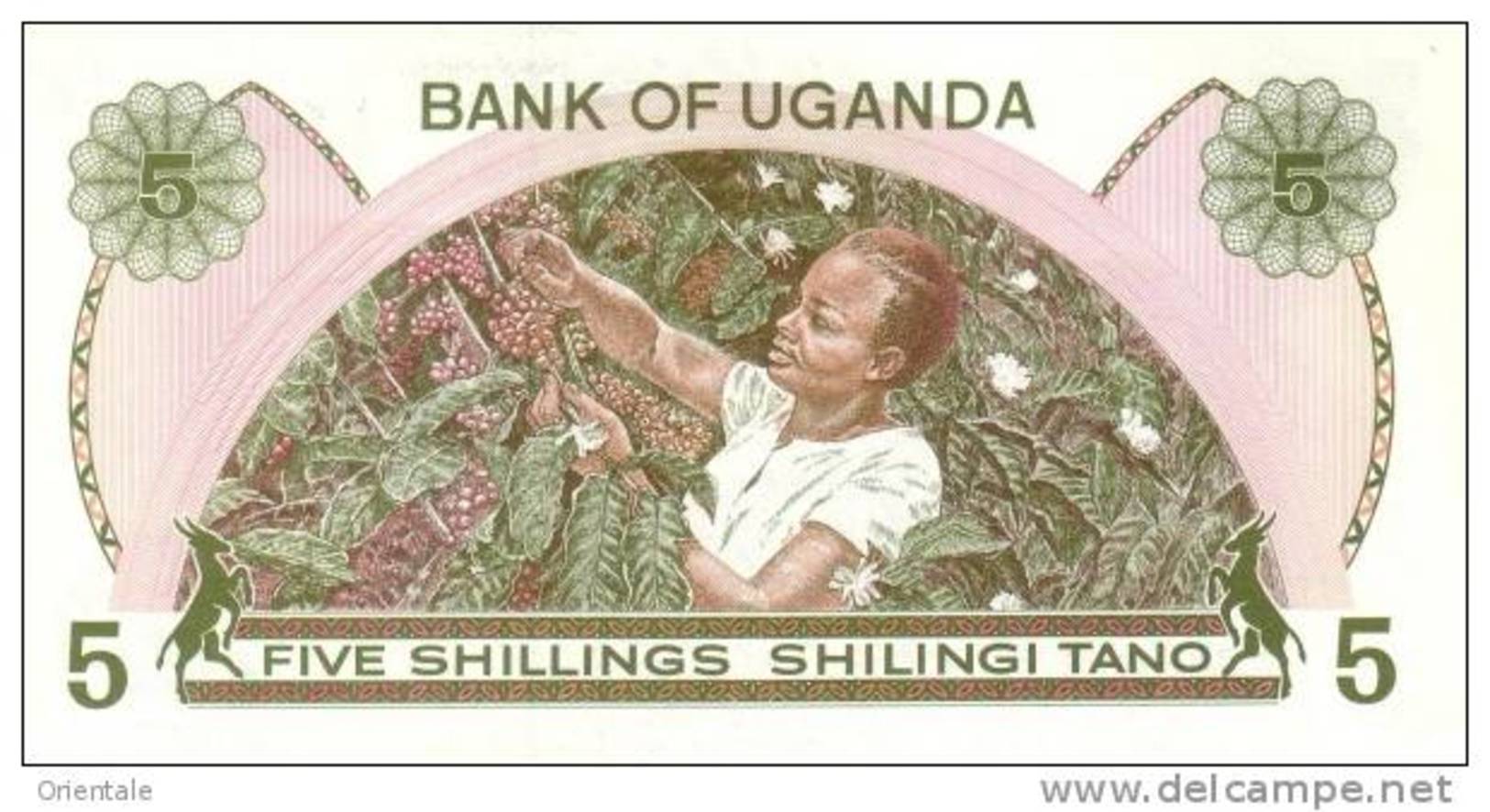 UGANDA P. 15 5 S 1982 UNC - Ouganda