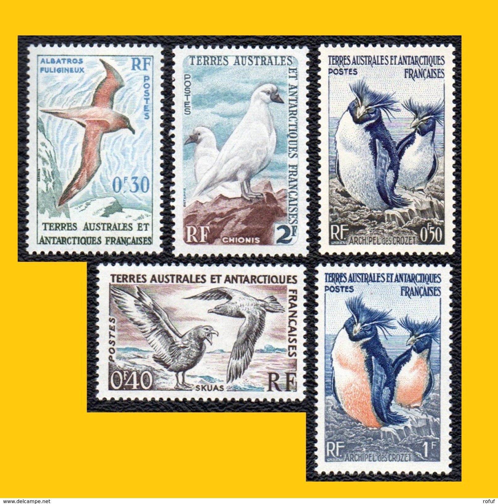 5 OISEAUX TERRES AUSTRALES & ANTARCTIQUES FRANCAISES (TAAF) 1956-1963 NEUFS ** - Nuovi