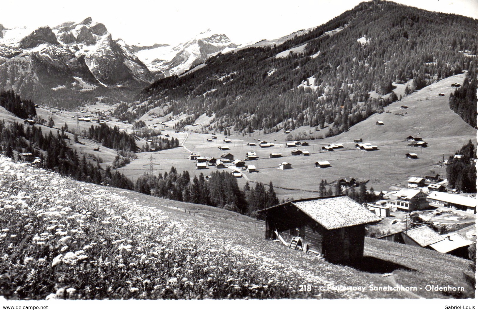 Feutersoey Sanetschhorn - Oldenhorn / Gstaad - Gstaad