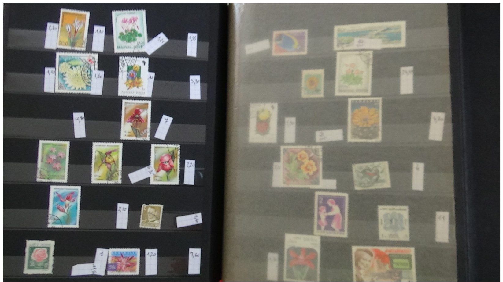 C Gros carton  lot variétés (1800euros) + 2 bandes ND + timbres France ** + obl + Chine + classeurs + albums timbres obl