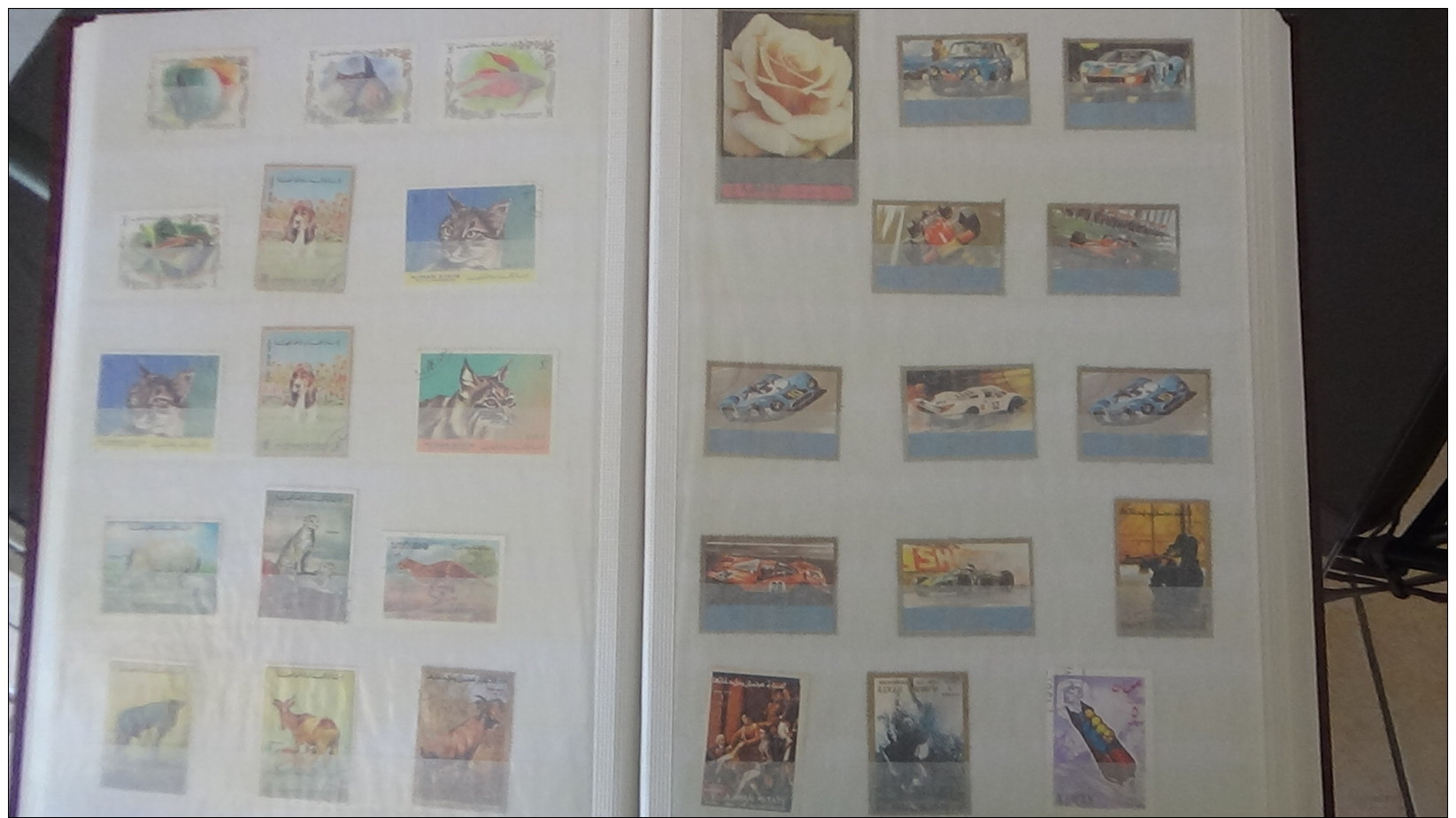 C Gros carton  lot variétés (1800euros) + 2 bandes ND + timbres France ** + obl + Chine + classeurs + albums timbres obl