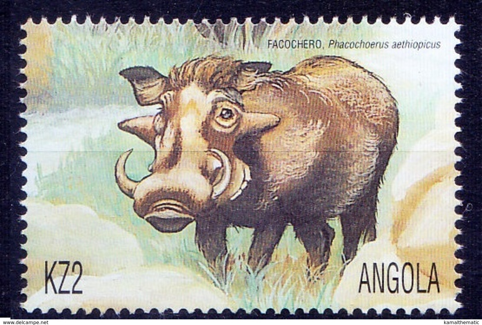 Angola MNH, Desert Warthog Wild Animals - Sonstige & Ohne Zuordnung