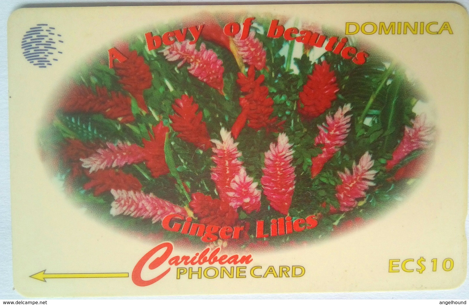 EC$10 Ginger Lilies 138CDMA  With Slash C/n - Dominica