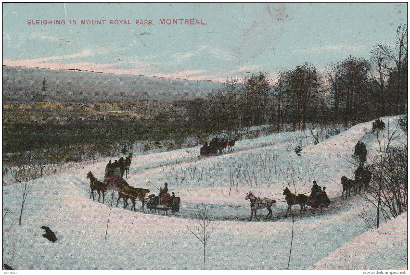 Montreal - Sleighing In Mount Royal Park   - Scan Recto-verso - Montreal