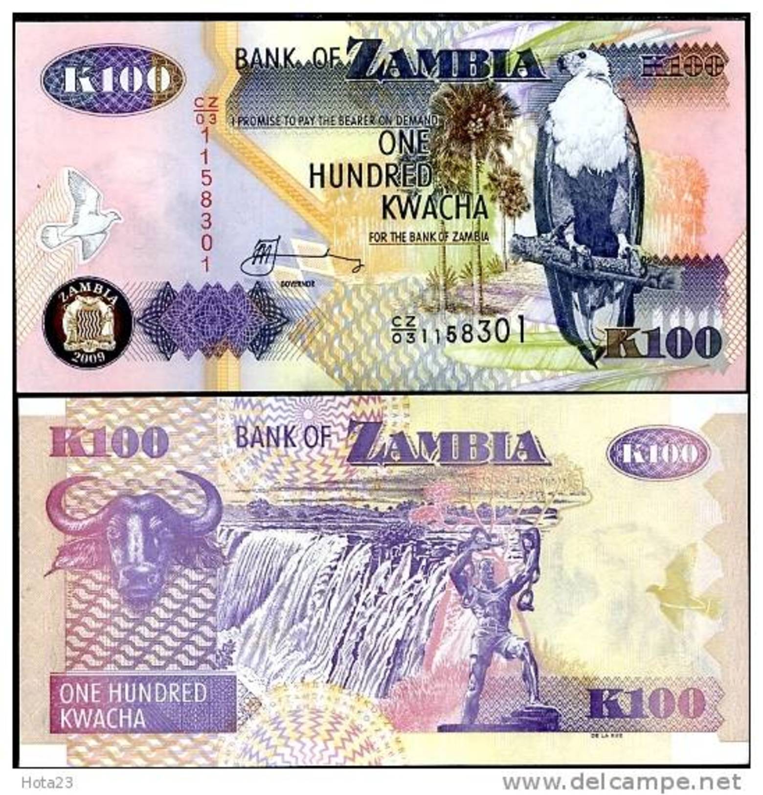 ZAMBIA 100 KWACHA 2009 P NEW UNC  Bird Eagle - Zambie