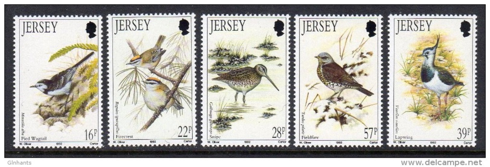 GB JERSEY - 1992 WINTER BIRDS SET (5V) SG 568-572 FINE MNH ** - Jersey