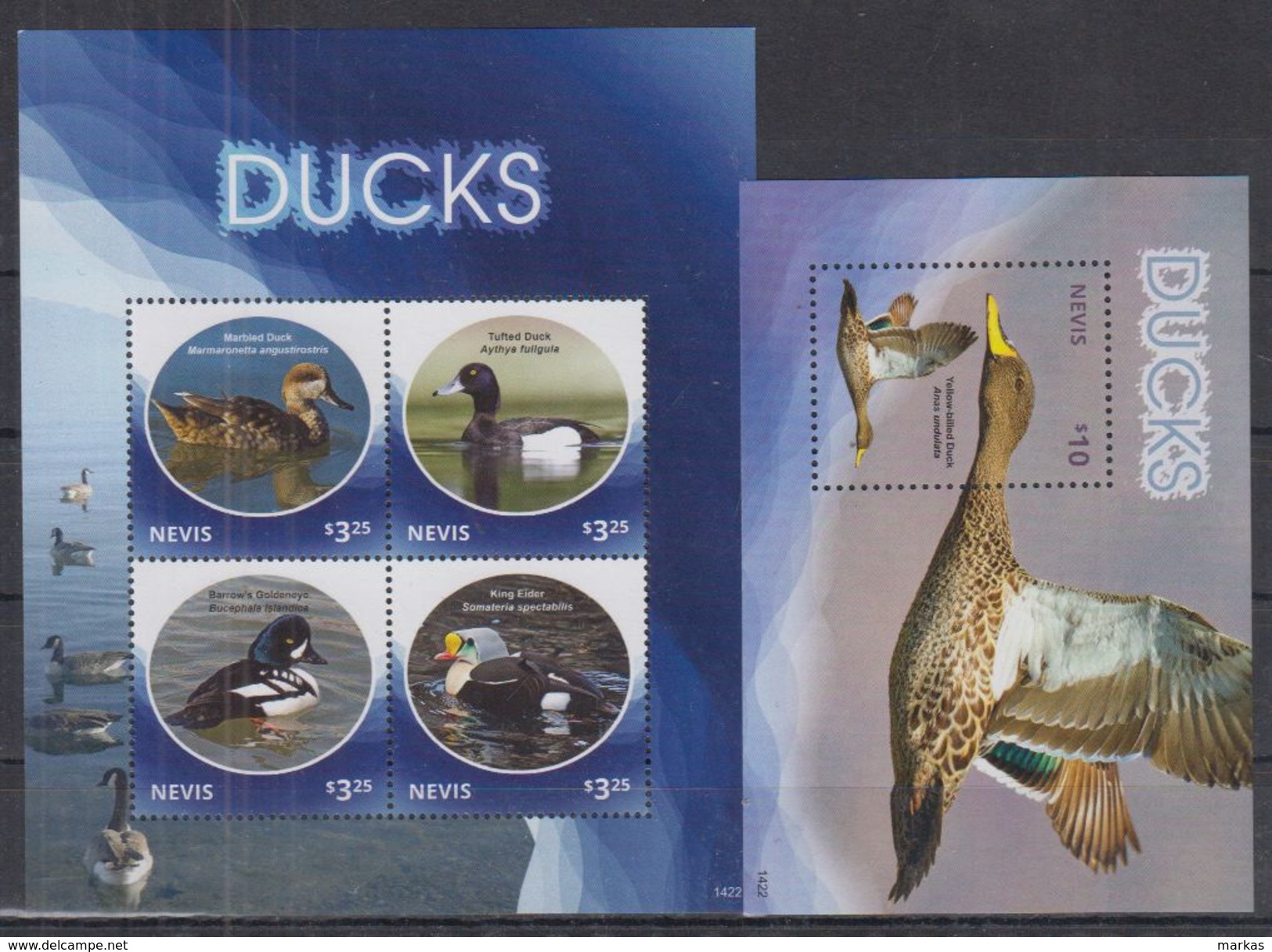 M41. Nevis - MNH - Animals - Birds - 2014 - Sonstige & Ohne Zuordnung