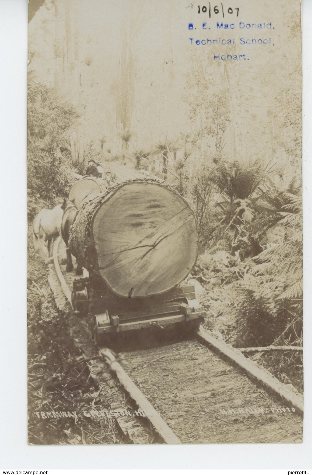 AUSTRALIE - TASMANIA - GEEVESTON HILLS - Tramway ( Carte Photo Postée à HOBART En 1907) - Hobart