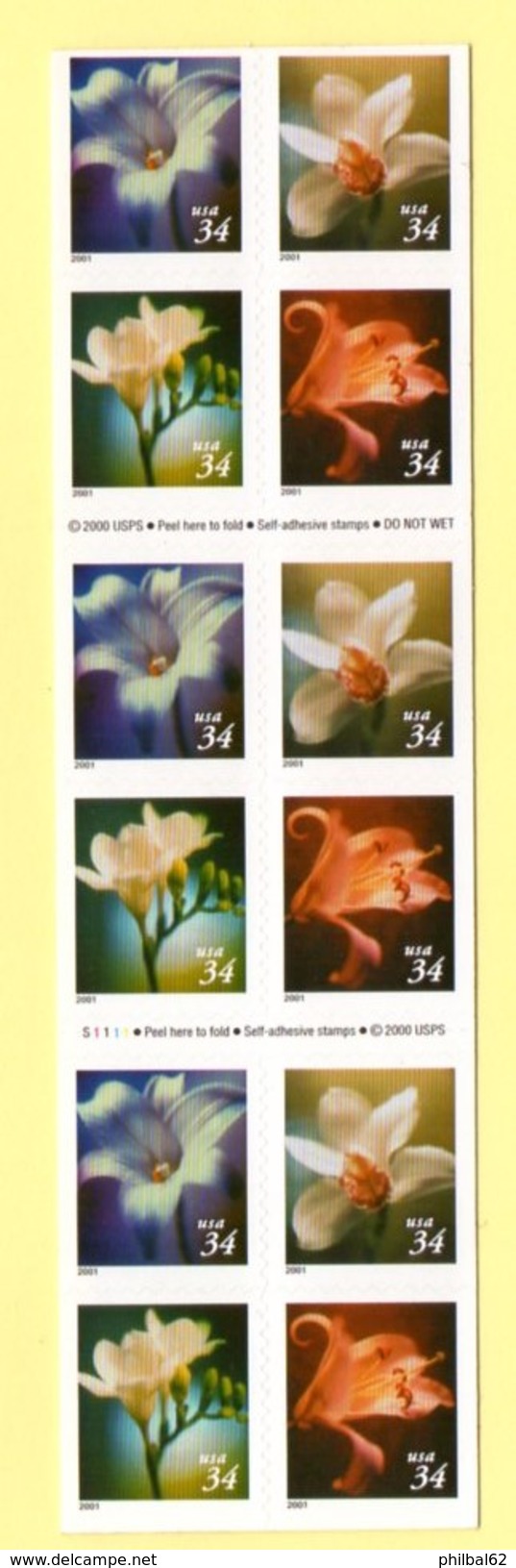 Etats-Unis, Carnet C 3181, Année 2001. 5 Séries 3181/84 **. Flowers - Fleurs : Lis Bleu, Orchidée, Freesia, Lis Orangé. - 3. 1981-...