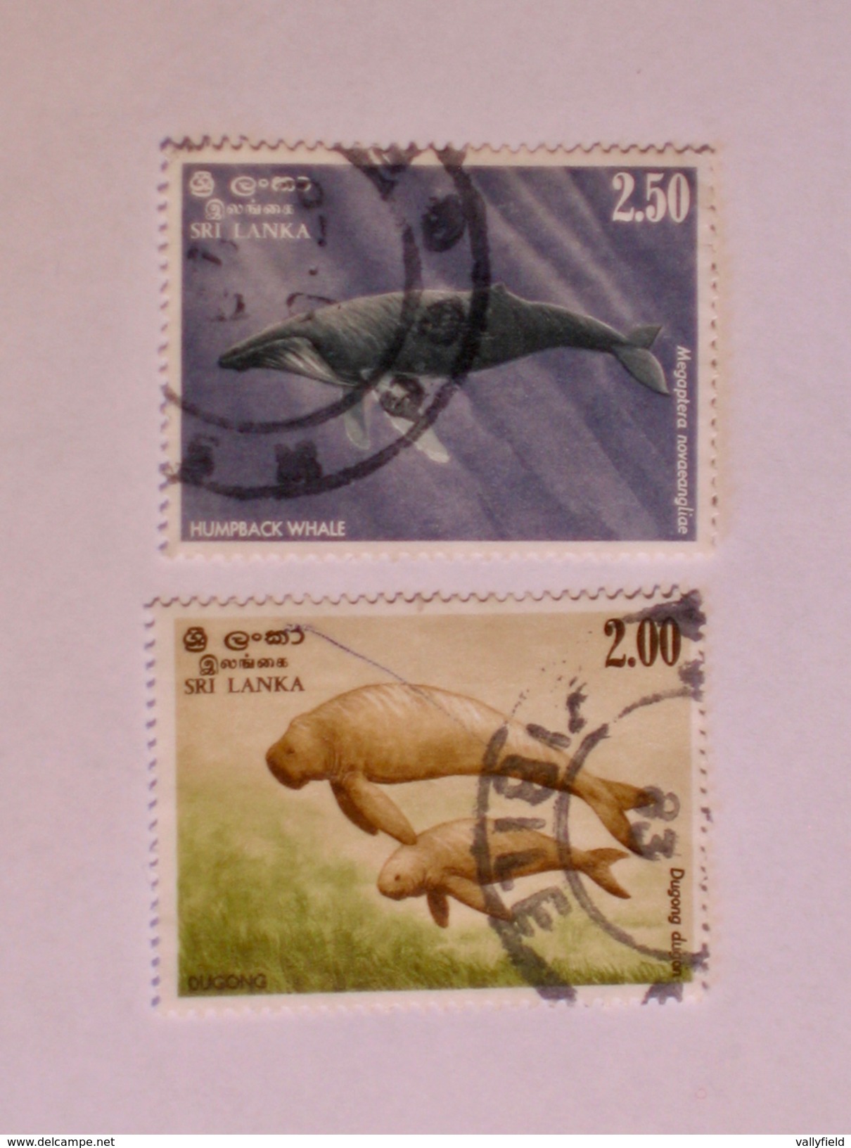 SRI LANKA  1983   LOT# 20  DOLPHIN - Sri Lanka (Ceylan) (1948-...)