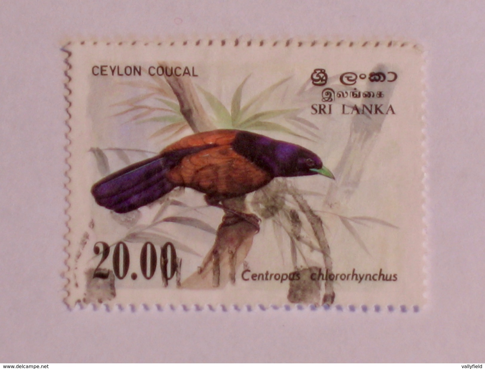 SRI LANKA  1983   LOT# 28  BIRD - Sri Lanka (Ceylan) (1948-...)