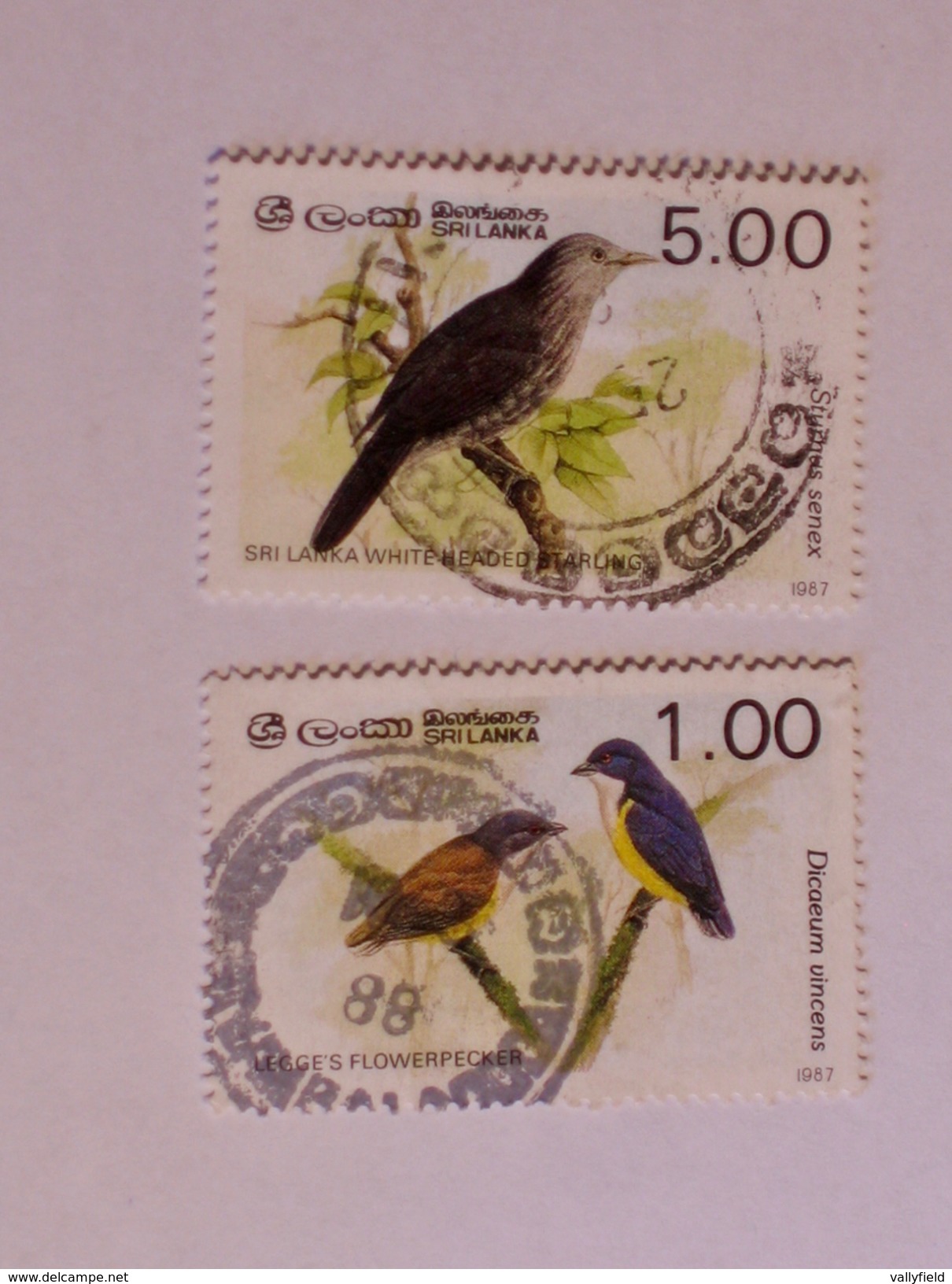 SRI LANKA  1987   LOT# 29  BIRD - Sri Lanka (Ceylan) (1948-...)