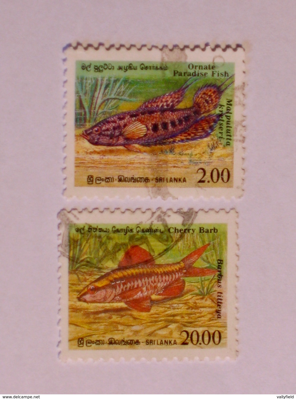 SRI LANKA  1990   LOT# 31  FISH - Sri Lanka (Ceilán) (1948-...)