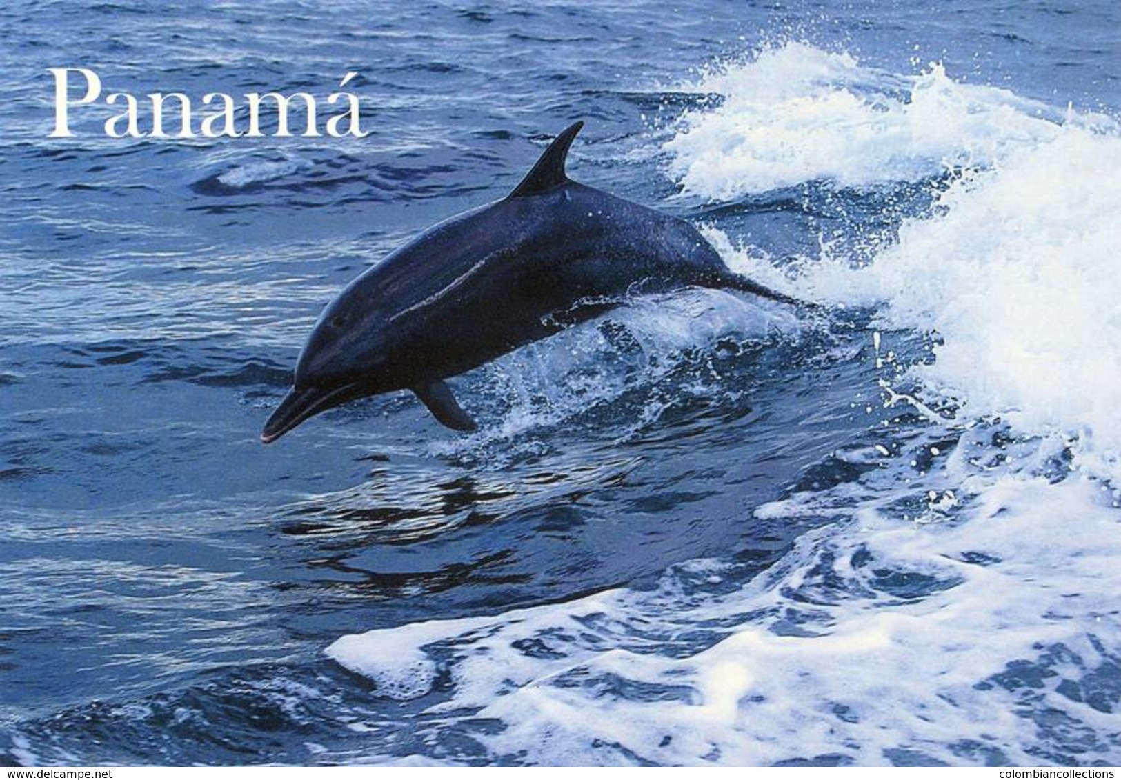 Lote PEP918a, Panama, Postal, Postcard, Delfin, Dolphin, Fauna - Panamá