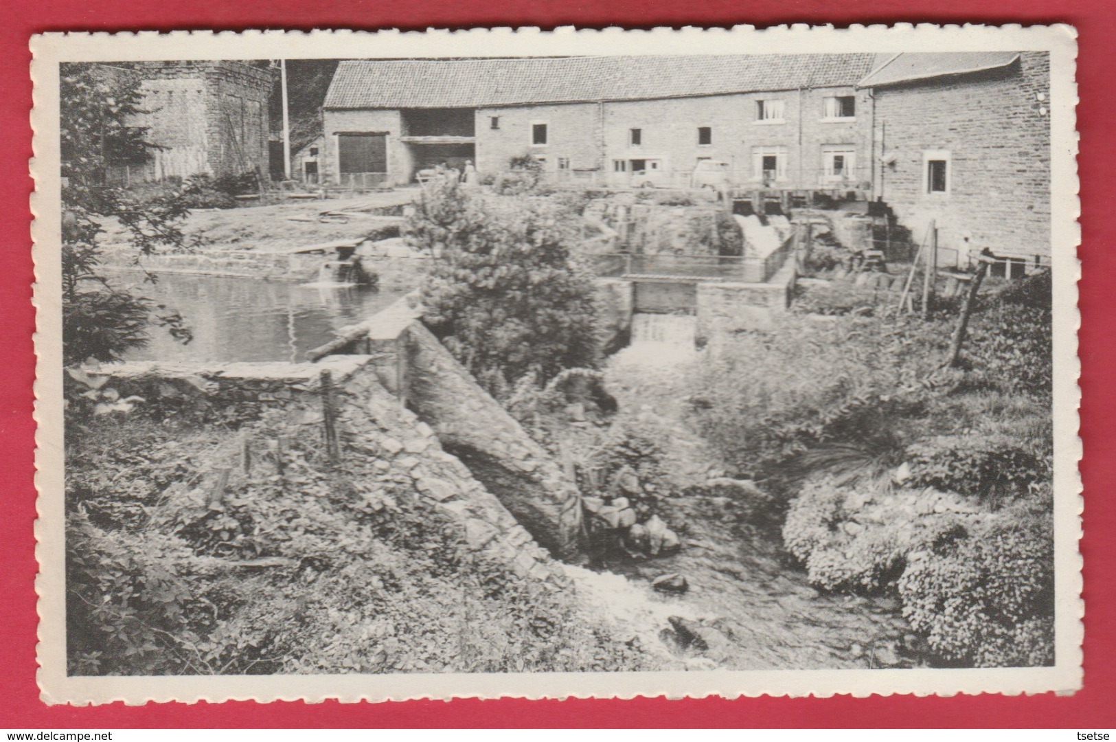 Comblain-au-Pont - Pisciculture Du Moulin - 3 ( Voir Verso ) - Comblain-au-Pont