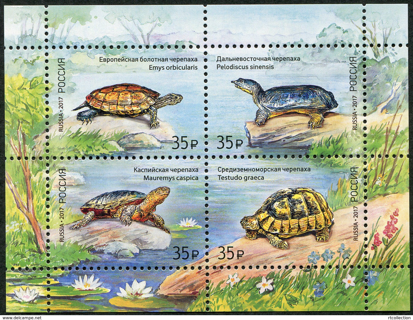 Russia 2017 Fauna Turtles Reptiles Turtle Reptile Animals Nature Flowers Plants M/S Stamps MNH Michel BL241 (2429-2432) - Collections