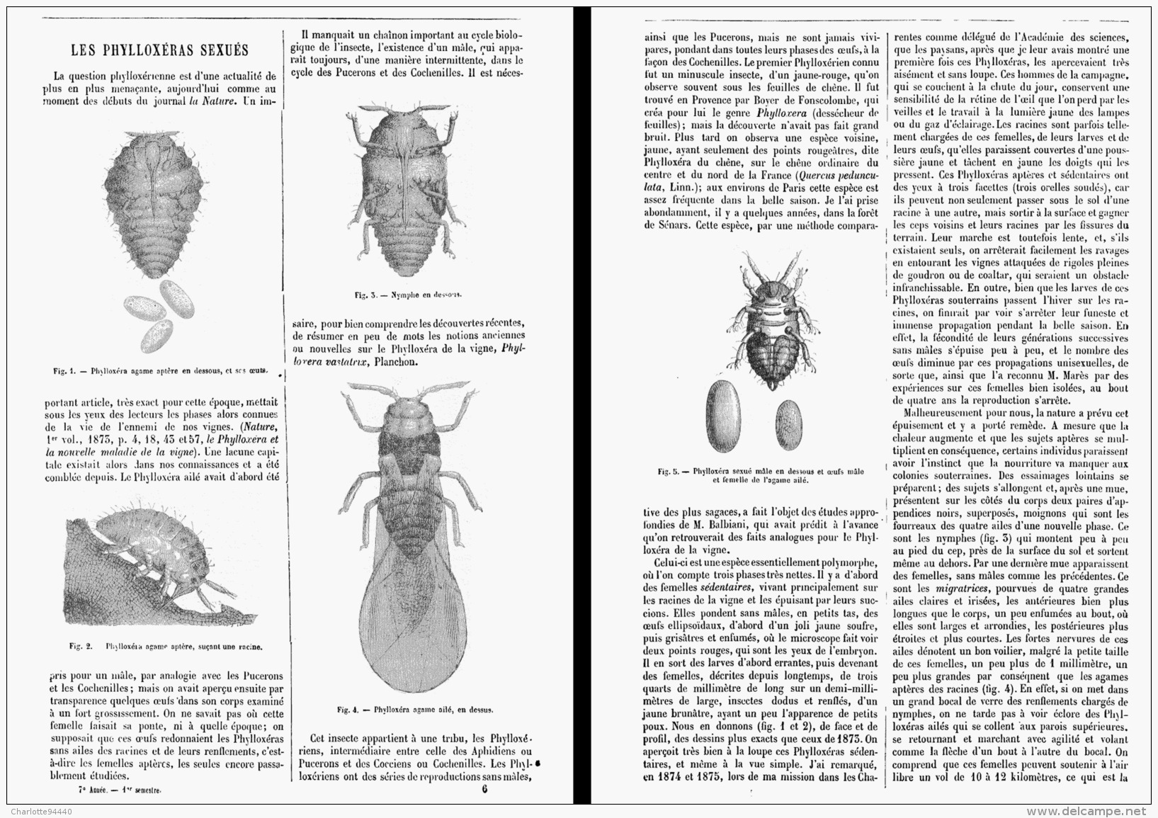 LE SON Et Le TELEPHONE RECHERCHE Du Dr C. J. BLAKE  1879 - Téléphonie