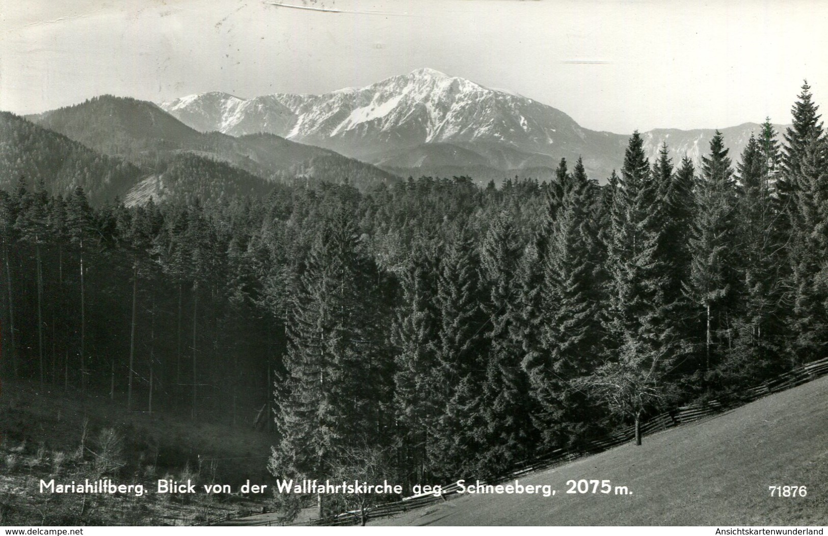 Mariahilfberg - Blick Von Der Wallfahrtskirche Gege. Schneeberg 1962 (000398) - Gutenstein