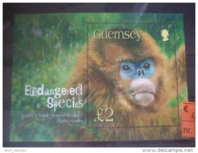 Guernsey Nosed Monkey Mnh - Apen