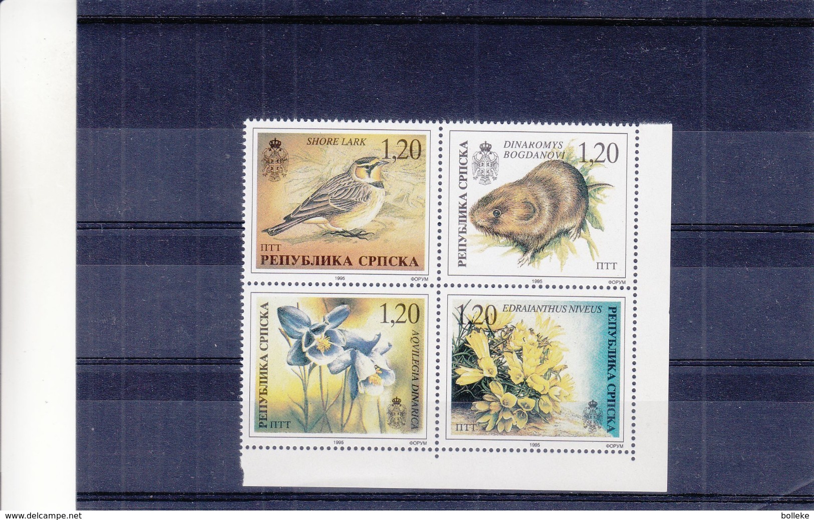 Oiseaux - Fleurs - Mammifères - Bosnie Serbe - Série De 1995 ** - MNH - Michel 39/42 - Spatzen