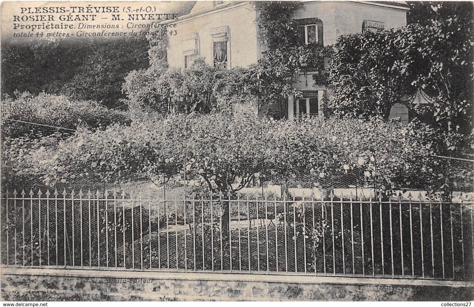 94 -PLESSIS-TREVISE- ROSIER GEANT , M . NIVETTE PROPRIETAIRE - Le Plessis Trevise