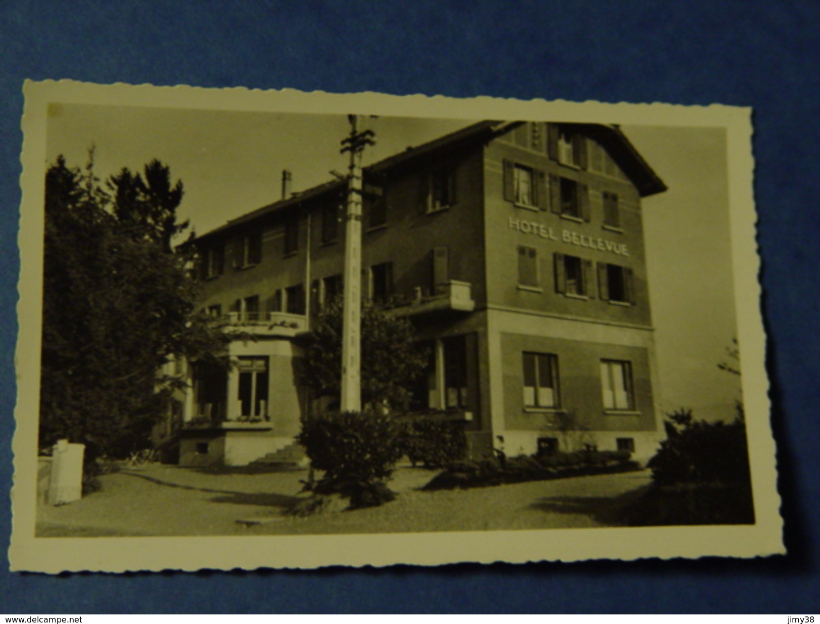 HAUTE SAVOIE-MESSERY-HOTEL BELLEVUE CLOS SAINTE MARIE - Messery