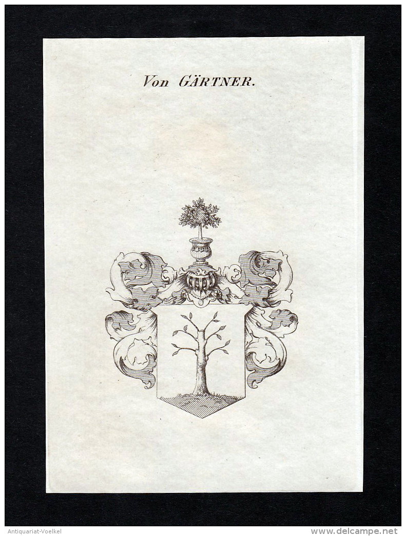 Von Gärtner - Gärtner Gaertner Wappen Adel Coat Of Arms Kupferstich  Heraldry Heraldik - Prints & Engravings