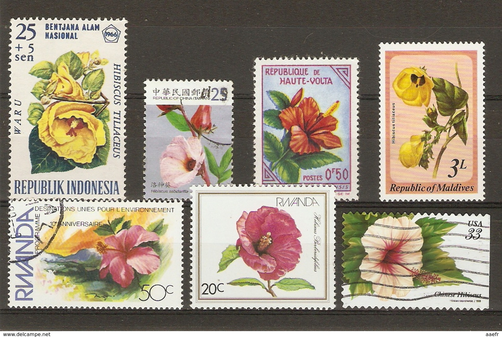 Fleurs - Hibiscus - Petit Lot De 7 Timbres Oblitérés - Alla Rinfusa (max 999 Francobolli)