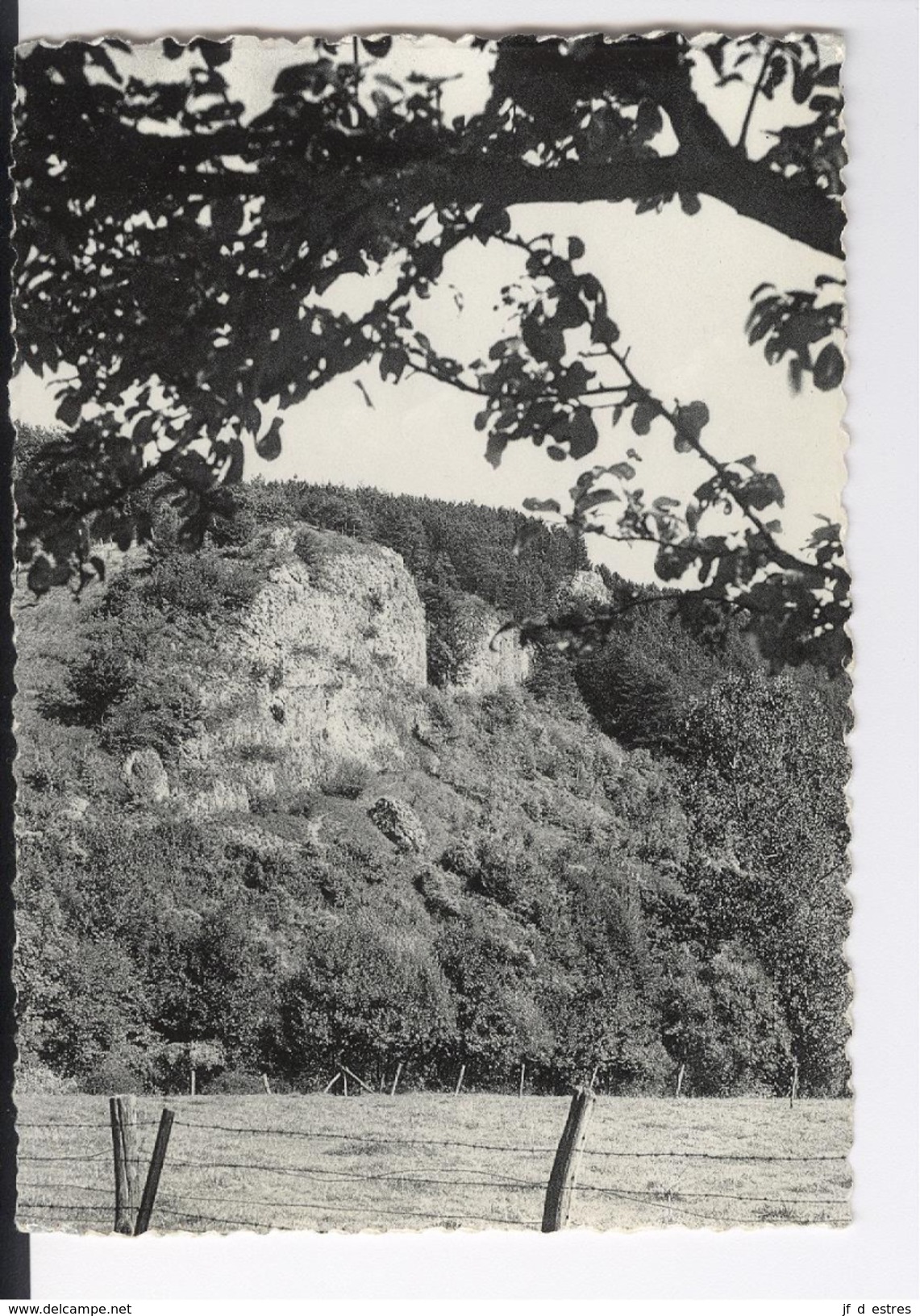 CP Olloy Sur Viroin Vu De Neviau Les Rochers Du Pas Nels Thill, Paquet Olloy - Viroinval