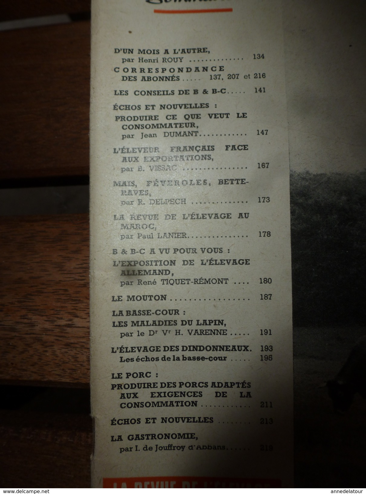 1956 LRDLE Elevage Au MAROC; En Allemagne; Les Lapins; Dindonneaux ; Aviculture; La Gastronomie; Etc - Animaux