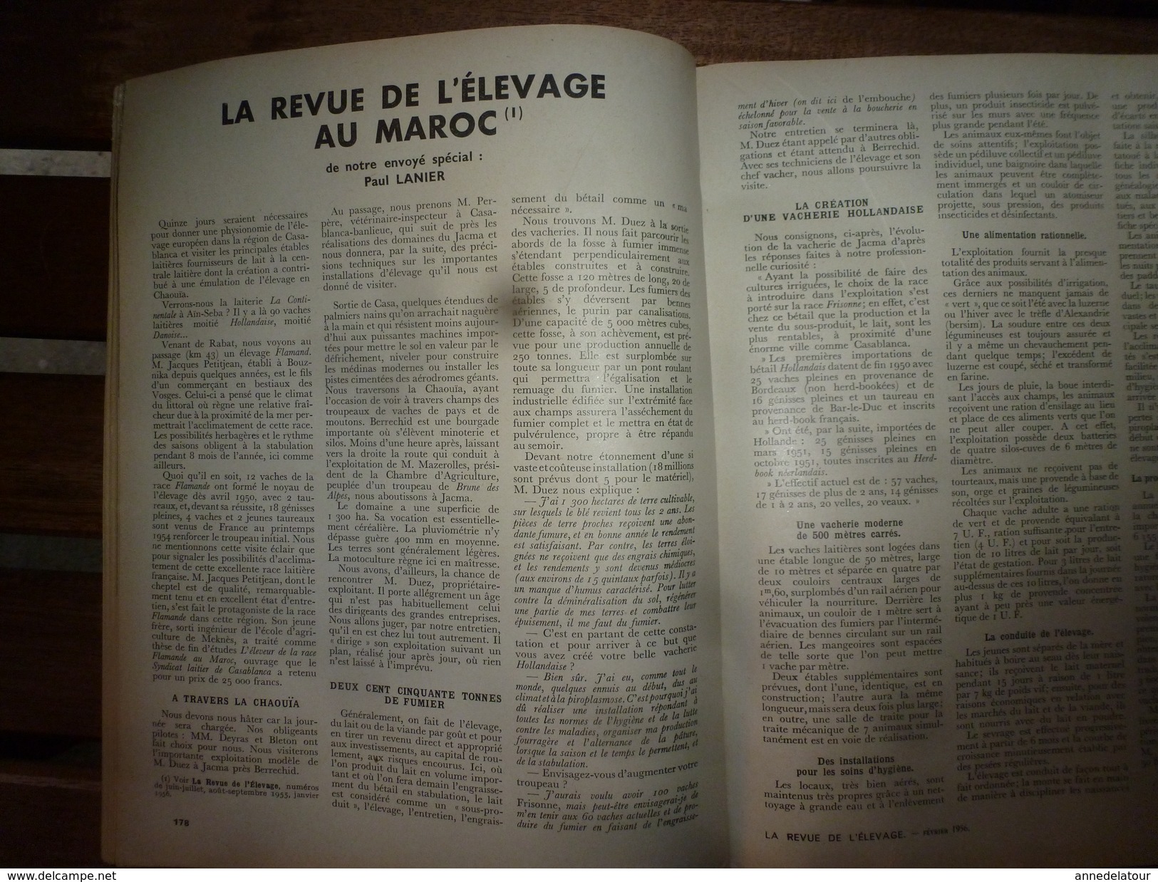 1956 LRDLE Elevage Au MAROC; En Allemagne; Les Lapins; Dindonneaux ; Aviculture; La Gastronomie; Etc - Animals