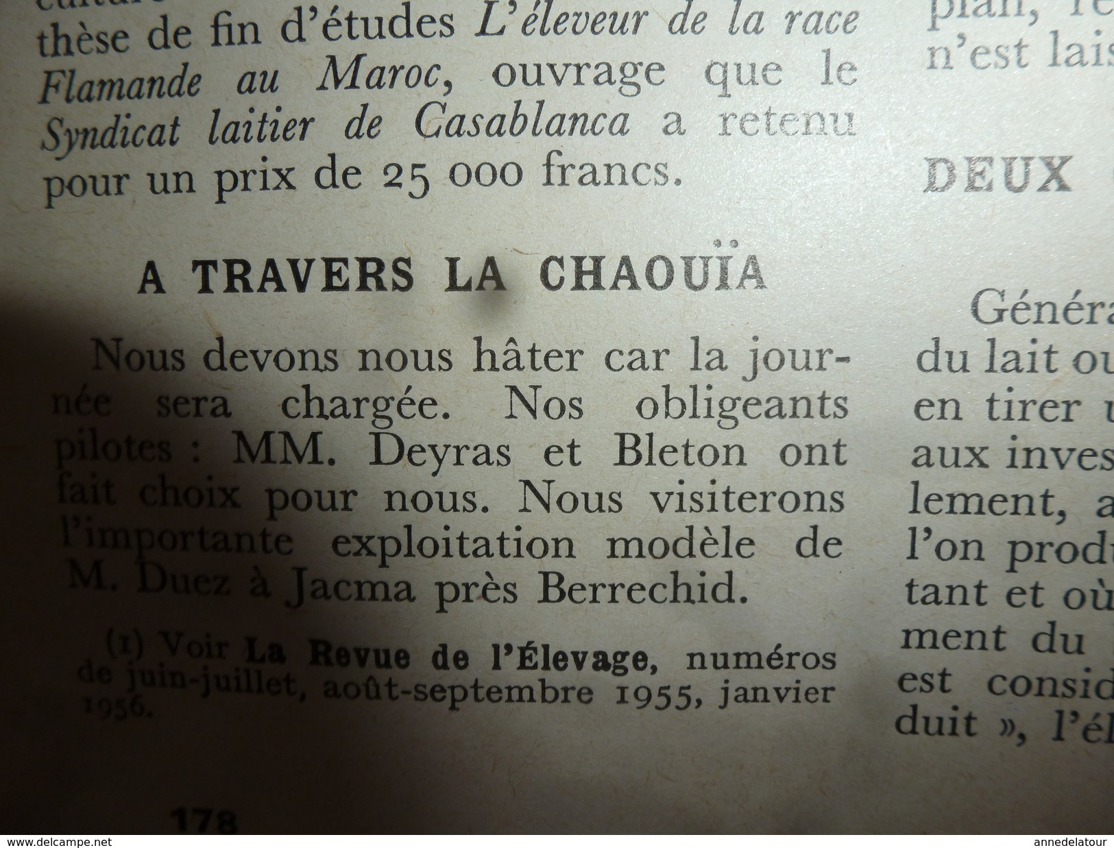 1956 LRDLE Elevage Au MAROC; En Allemagne; Les Lapins; Dindonneaux ; Aviculture; La Gastronomie; Etc - Animals