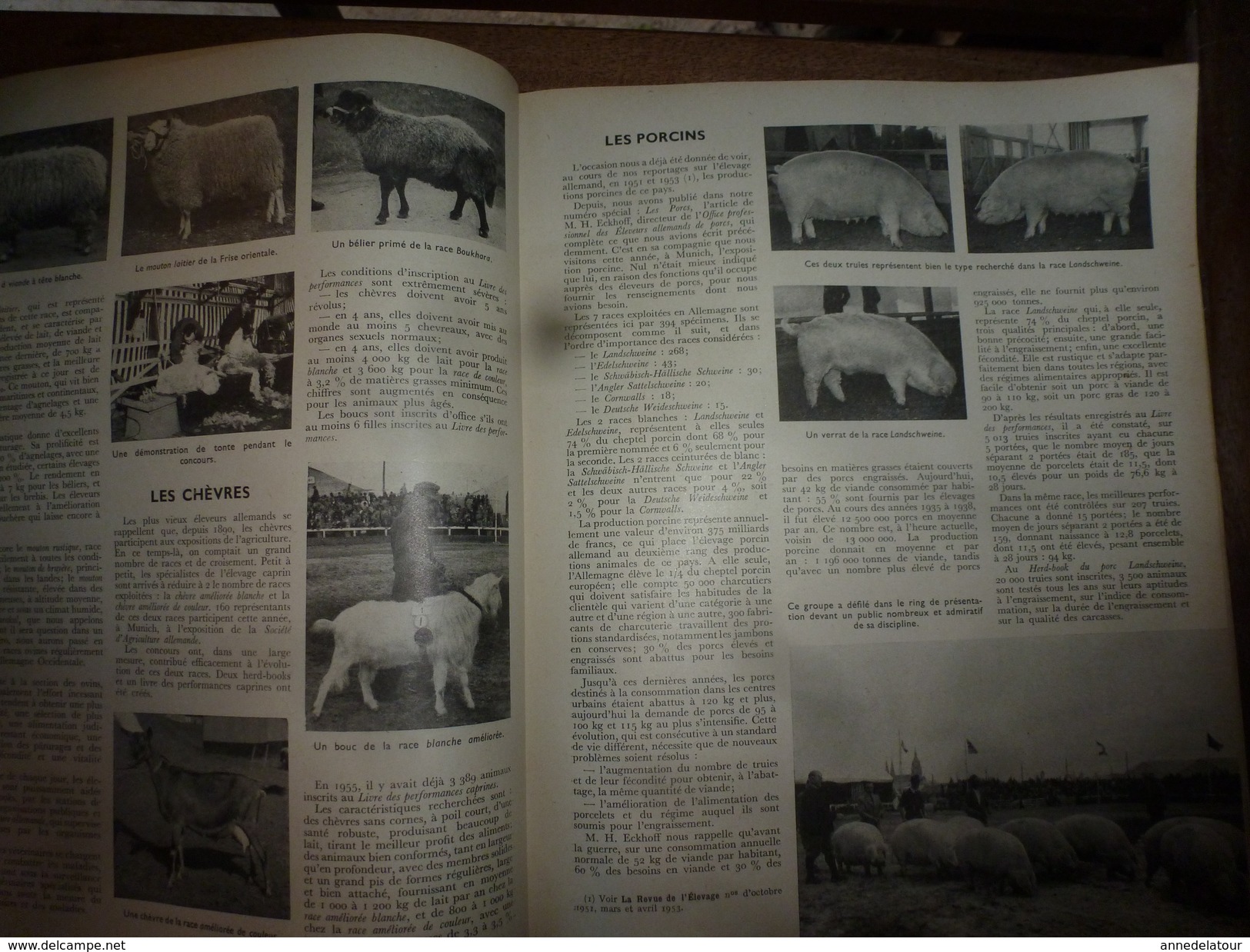 1956 LRDLE Elevage au MAROC; En Allemagne; Les lapins; Dindonneaux ; Aviculture; La gastronomie; etc