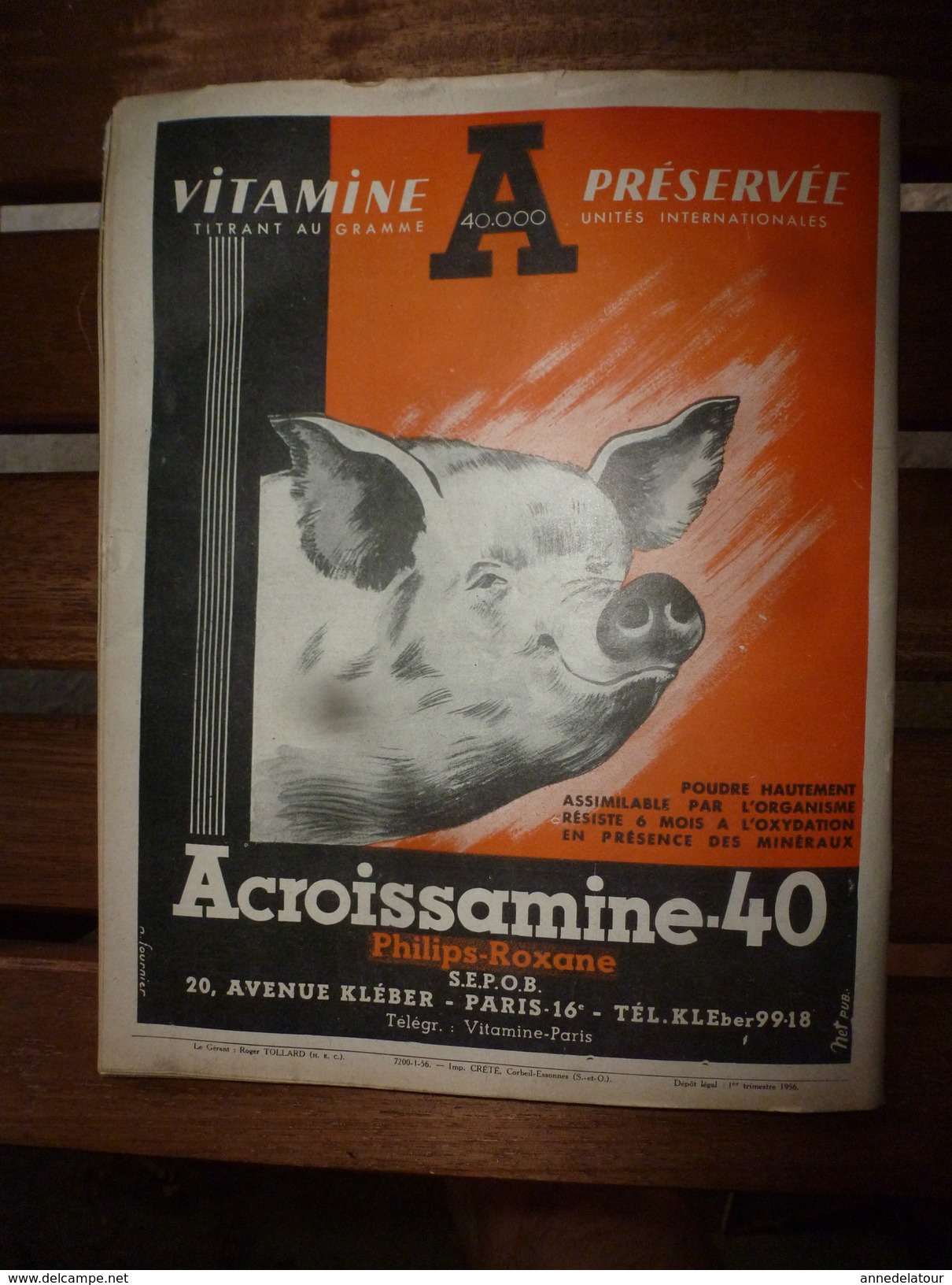 1956 LRDLE Elevage au MAROC; En Allemagne; Les lapins; Dindonneaux ; Aviculture; La gastronomie; etc