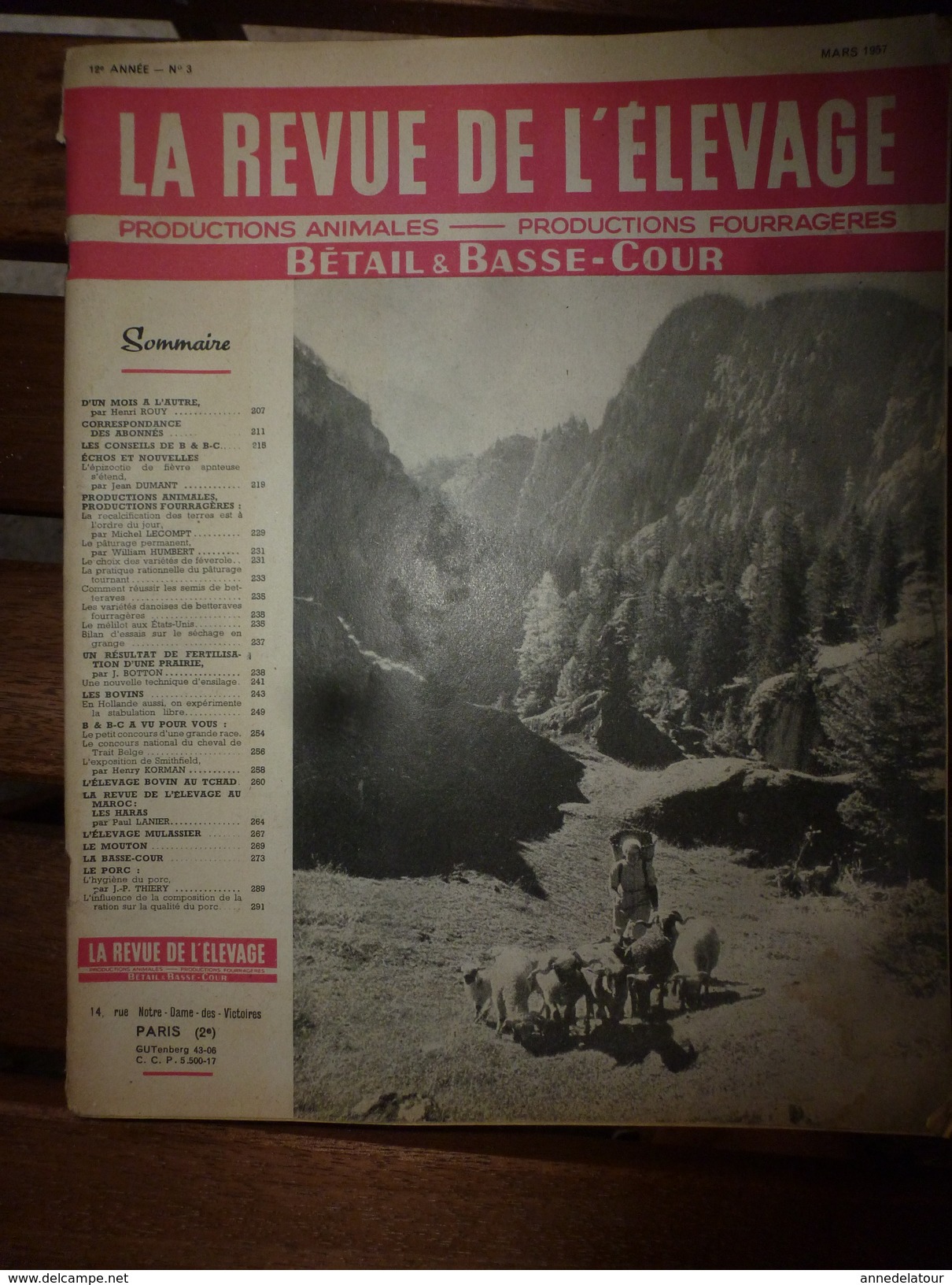 1956 LRDLE Elevage Au MAROC; En Hollande;Recalcifier La Terre;Pâturage ; Les Conseils; Etc - Animaux