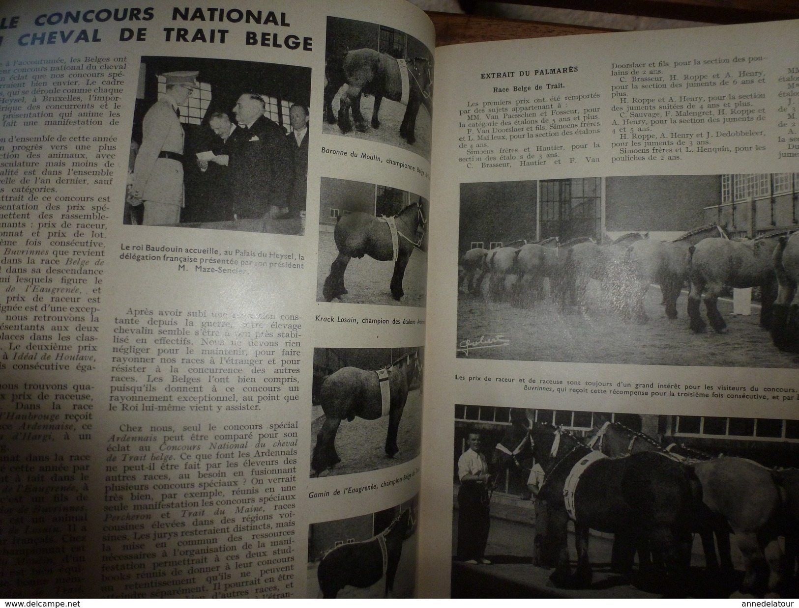 1956 LRDLE Elevage au MAROC; En Hollande;Recalcifier la terre;Pâturage ; Les conseils; etc