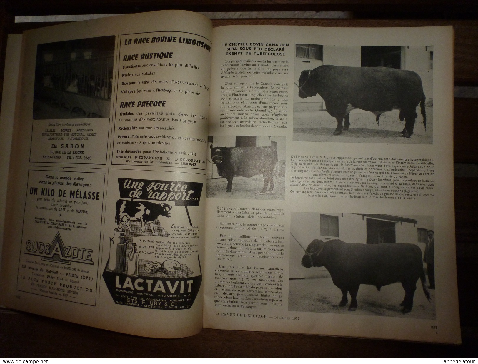 1957 LRDLE Expo Agricole En Angleterre; Hollande;Les Poussins De 1930 à 1954;Bovins Du CANADA ;etc - Animaux