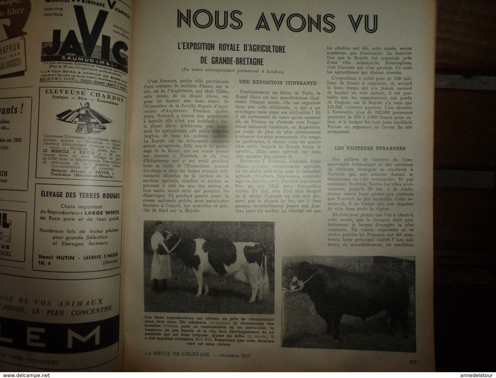 1957 LRDLE Expo Agricole En Angleterre; Hollande;Les Poussins De 1930 à 1954;Bovins Du CANADA ;etc - Animales